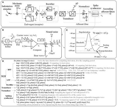 A Python Code for Simulating Single Tactile Receptors and the Spiking Responses of Their Afferents